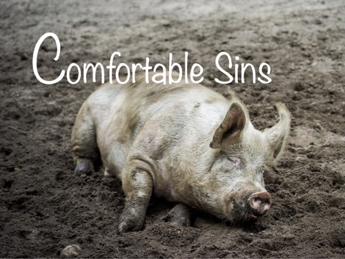 Comfortable Sin